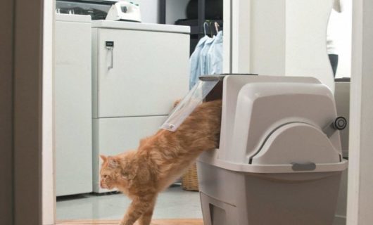 catit-selbstreinigendes-katzenklo1